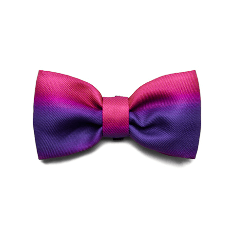 Zee.Dog Bow Tie Juno S