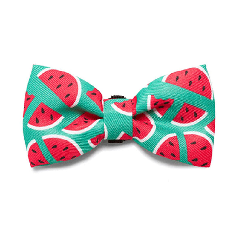 Zee.Dog Bow Tie Lola S