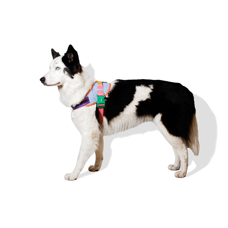 Zee.Dog FlyHarness Galaxy Size 4