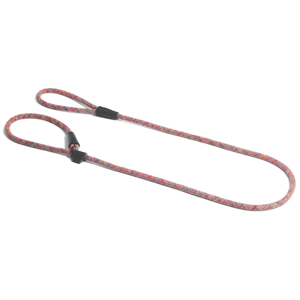 Zee.Dog Slip On Leash Vortex