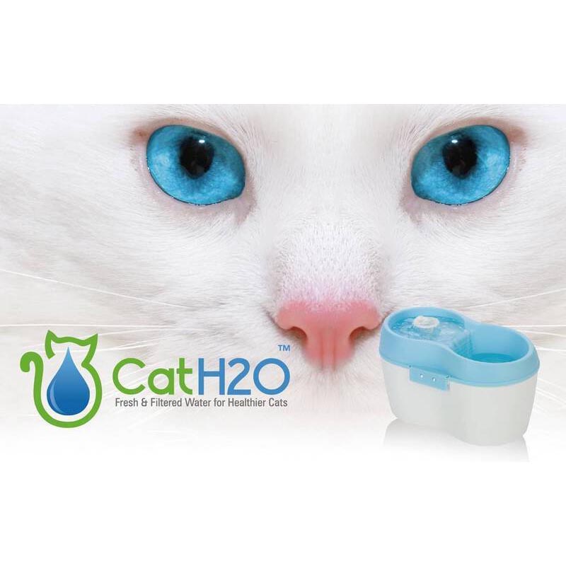 Cath2o filter deals